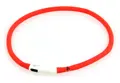 Aufladbares Hundehalsband leuchtend.