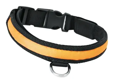 Nylon Hunde-Leuchthalsband