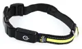 hunde-leuchthalsband-fluo-503186.jpg
