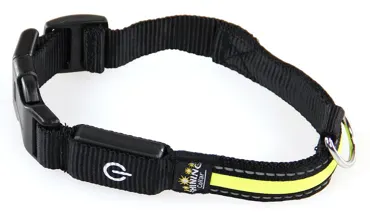 Hunde-Leuchthalsband Fluo