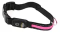 hunde-leuchthalsband-fluo-503240.jpg