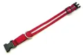hunde-leuchthalsband-redloo-503212.jpg