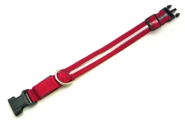 Hunde-Leuchthalsband Redloo