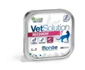 Monge Vet Solution Katzenfutter Genesung
