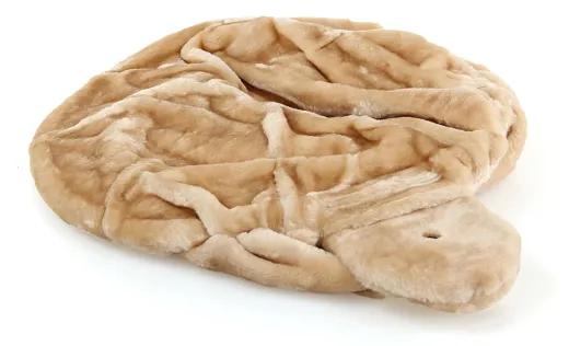 Tiefe Schlafmulde für swisspet Kratzbaum Beige