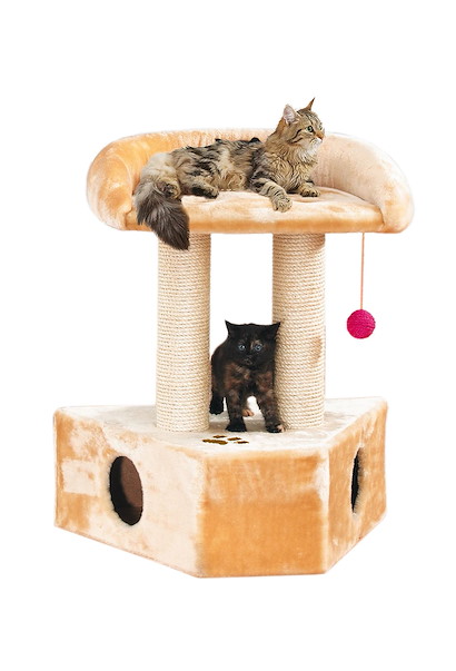 hundemantel grentabelle Active+ Thermo Fleece Hundemantel  Tierliebling
