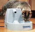 thumb_Petsafe-Trinkbrunnen-Drinkwell-Mini.jpg