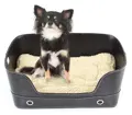 Lounge Design Hundebett