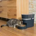 Futterspender mit App