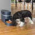 automatischer smarter Futterspender mit Handysteuerung