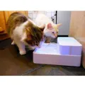 Wasserspender für Katzen und Hunde