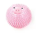 Welpenspiel Spielball Schwein