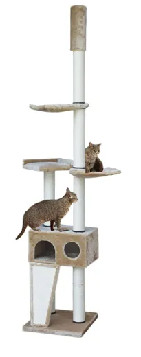 Swisspet Deckenkratzbaum Muralto Beige