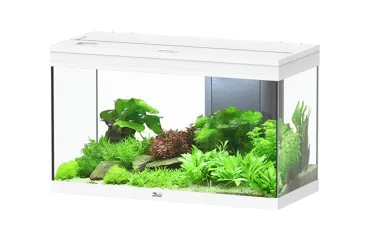 Aquatlantis Aquarium Volga 125