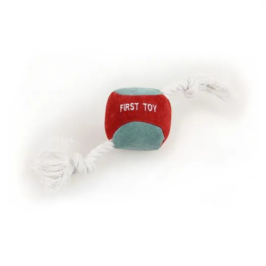Spielball Hund