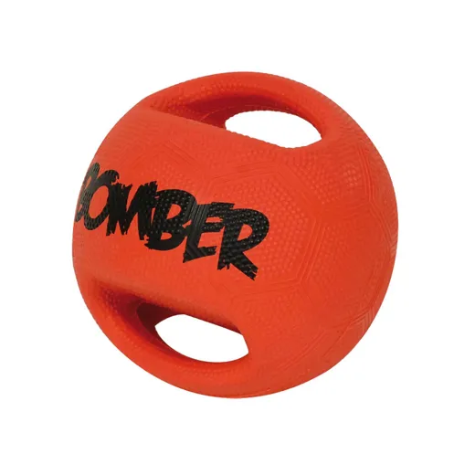 Wasserball Hund