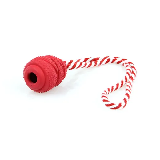 Hundespiel Champer Seil