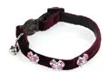 swisspet Deluxeline Katzenhalsband Victoria