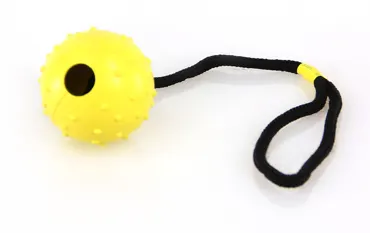 swisspet Hundespielzeug Spielball Lungo mit Noppen, am Seil