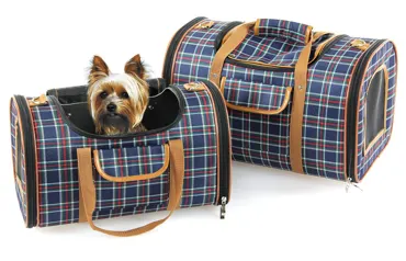 Hunde- & Katzentragtasche Bristol