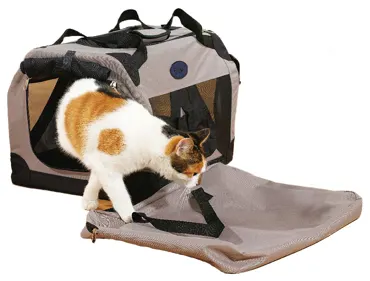Transportbox Explorer Open