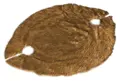 swisspet Living Fell Ellipse 2 Loch Caramel