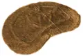 swisspet Living Fell Niere ohne Loch Caramel