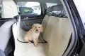 Hundedecke für den Autorücksitz mit Kopfstützenschutz.