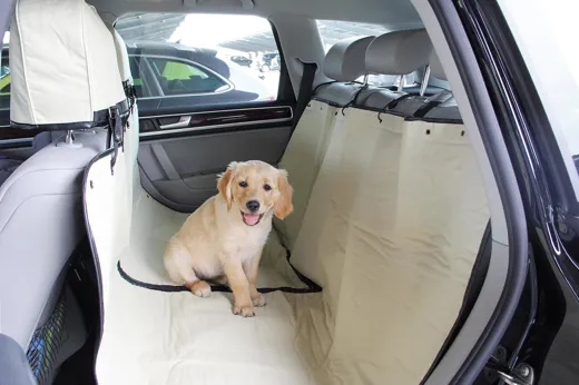 Hundedecke für den Autorücksitz mit Kopfstützenschutz.