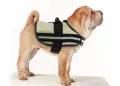 swisspet Hundegeschirr Arrow
