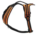 swisspet Geschirr Adven Orange