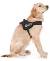 swisspet Geschier S.W.A.T.