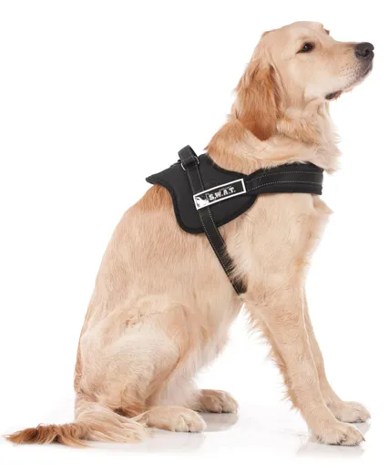 swisspet Geschier S.W.A.T.