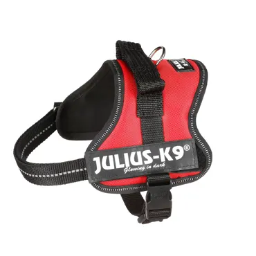 Powergeschirr K9 Rot