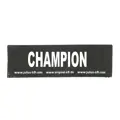 Logo Champion
