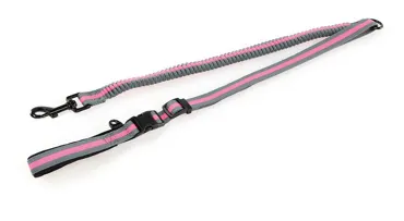 Leine elastisch
