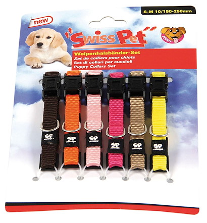 halsband fr dackel Premium Lederhalsband von Leopold's mit Beschlgen fr Hunde & Dackel   Martha's
