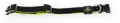 swisspet Active Dog Hundehalsband