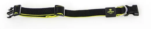 swisspet Active Dog Hundehalsband