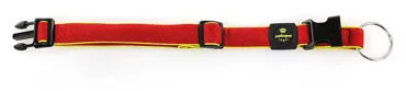 Active Dog Hundehalsband Rot