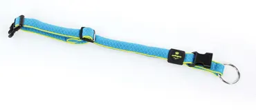 Active Dog Hundehalsband Blau