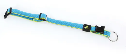 swisspet Halsband Active Dog Blau