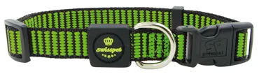 Hundehalsband City Dog