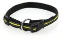 swisspet Halsband Fluos