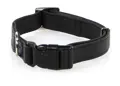 swisspet Lederhalsband Invito Schwarz