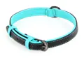 swisspet Hundehalsband Dover Schwarz/Türkis