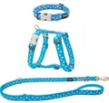 RedDingo Puppy Kit Türkis mit Sternchen