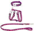RedDingo Puppy Kit Violett mit Herzen