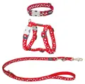 RedDingo Puppy Kit Rot mit Punkten