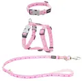 RedDingo Puppy Kit Rosa mit Herzen